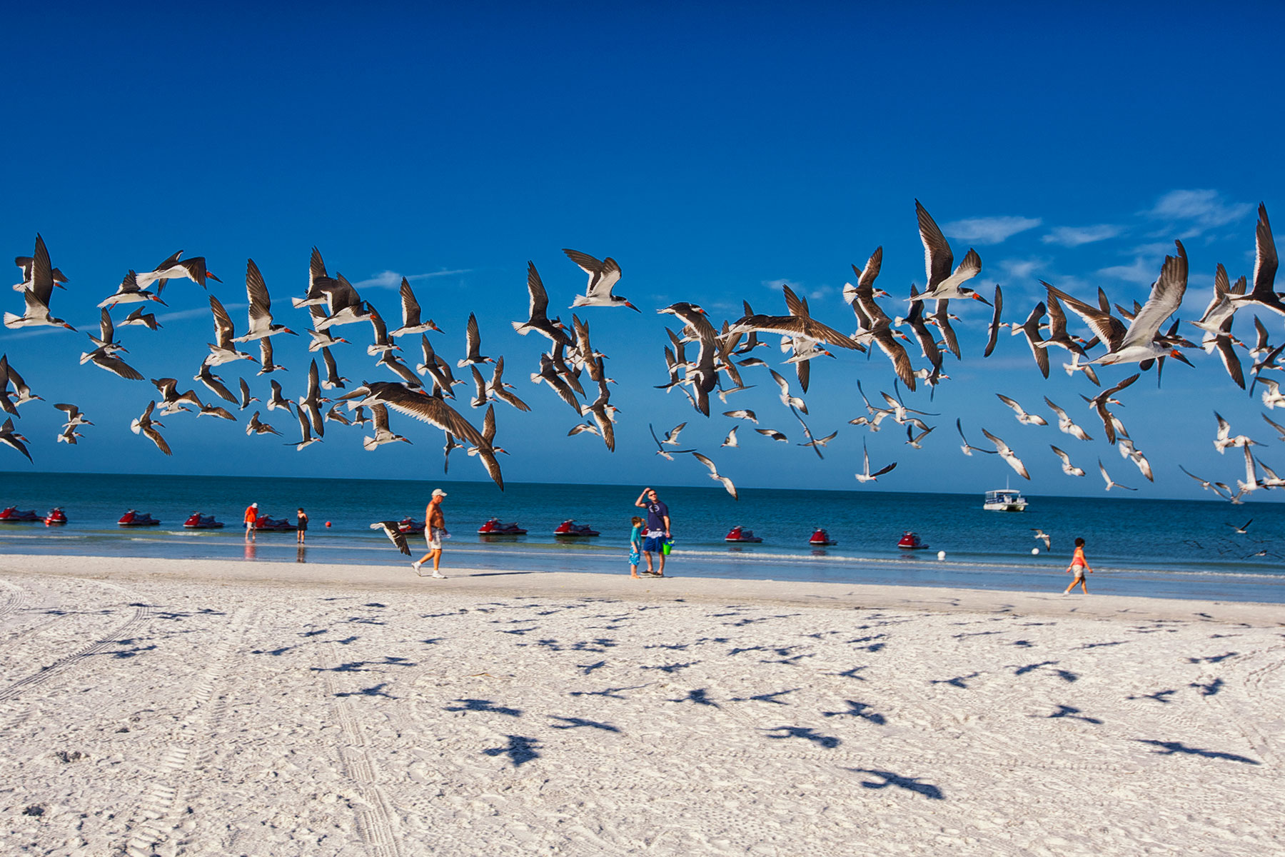 Marco Island, Florida