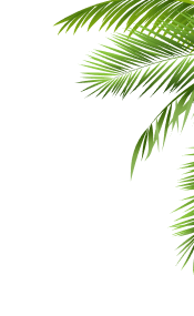 paralax image