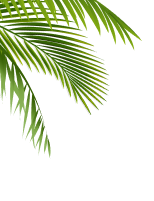 paralax image