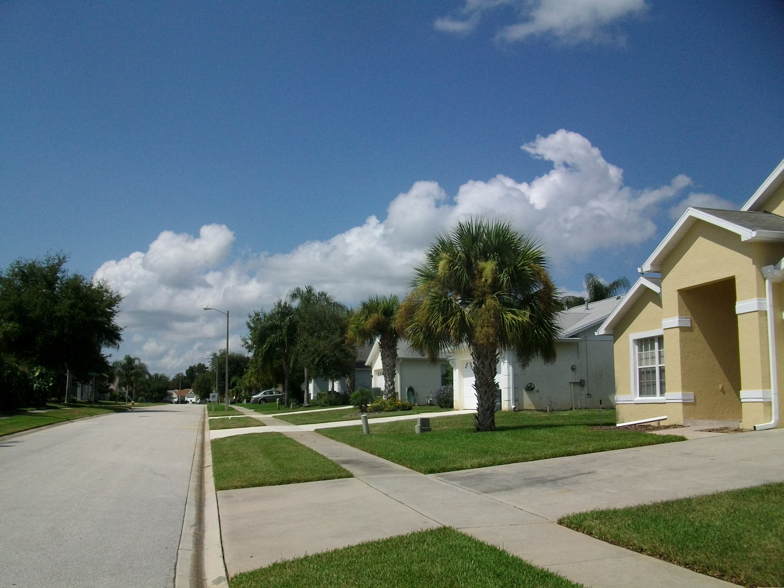 Indian Ridge Oaks